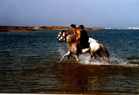naxos horse riding