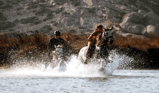 Iris Neubauer Horse Riding